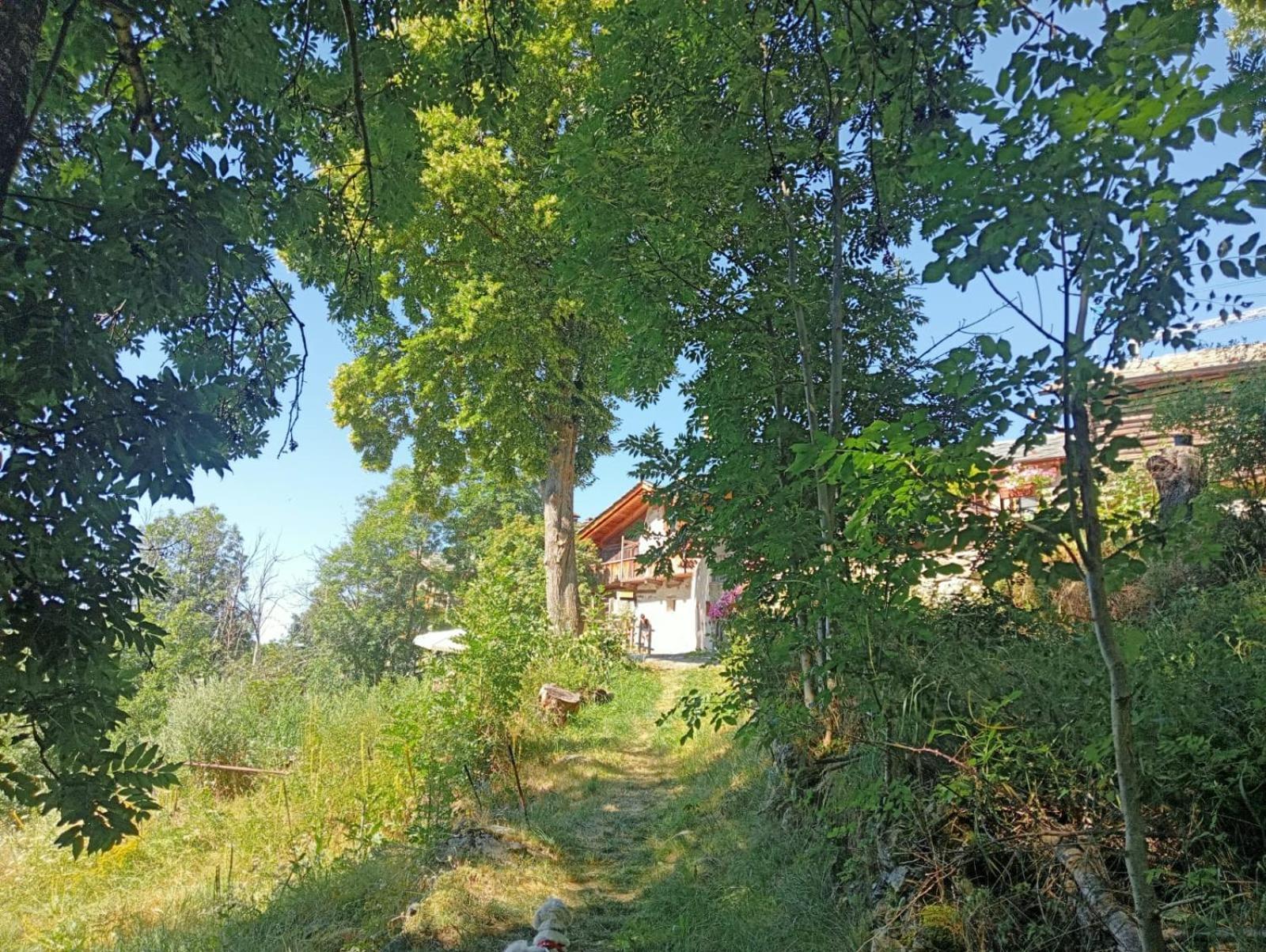 Home Sweet Home Antey-Saint-André Buitenkant foto