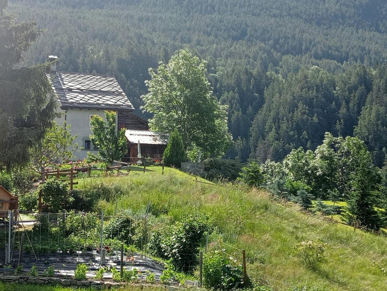 Home Sweet Home Antey-Saint-André Buitenkant foto
